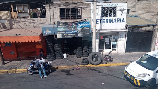 Vulcanizadora El Arbol